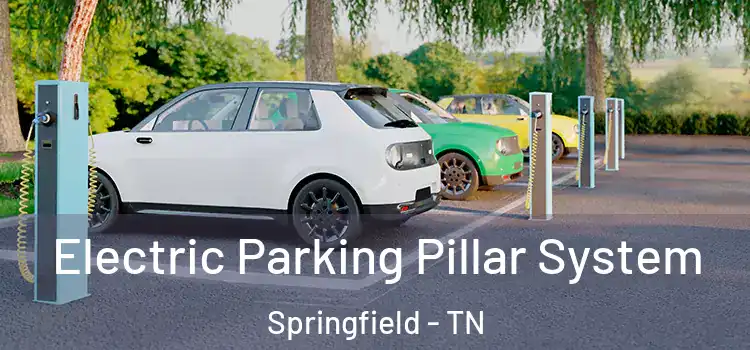 Electric Parking Pillar System Springfield - TN