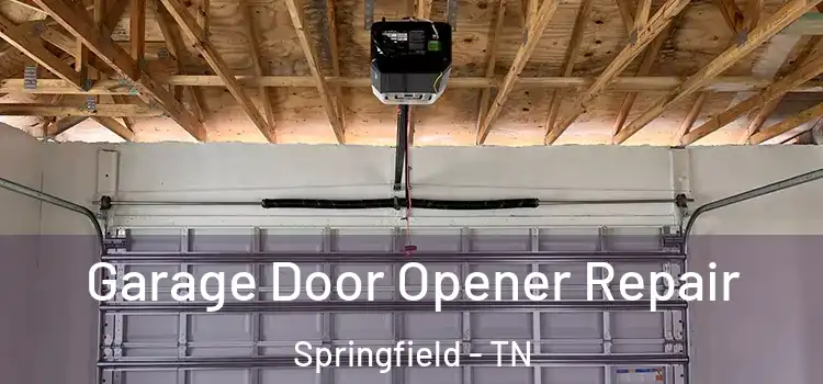  Garage Door Opener Repair Springfield - TN