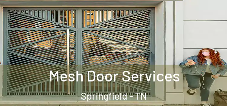 Mesh Door Services Springfield - TN