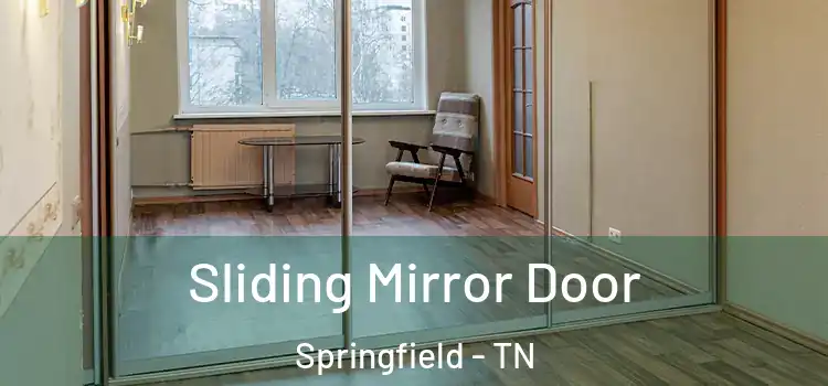  Sliding Mirror Door Springfield - TN